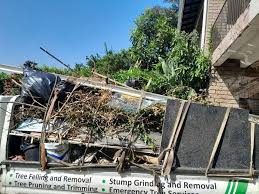 Best Carpet Removal and Disposal  in Pioche, NV