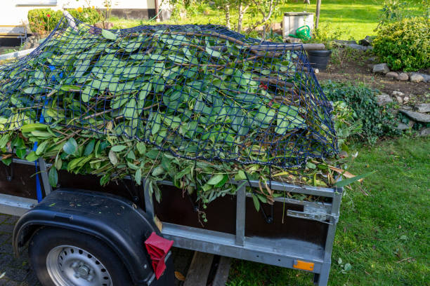 Best Dumpster Rental Services  in Pioche, NV